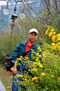 Yeouido Park Spring 2016
