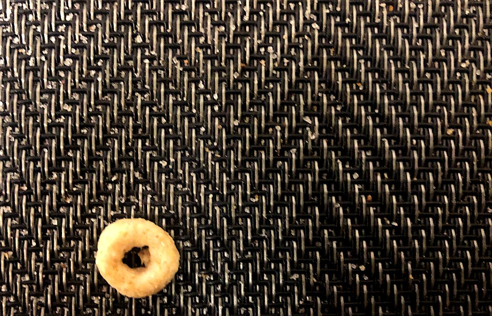 One Lone Cheerio To Save The World