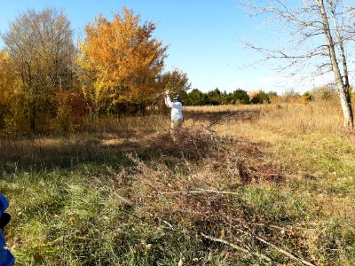 Fall Cleanup at Great Plains Nature Center