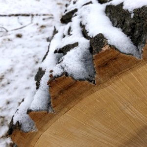 Quarter Snow
