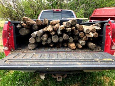 Got Posts?