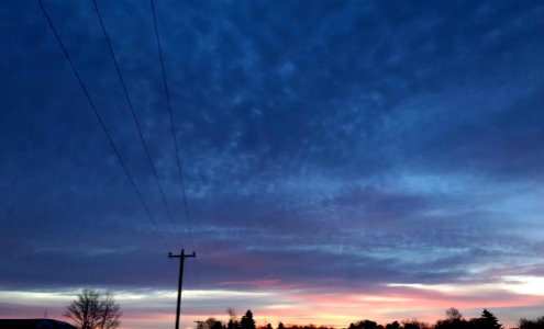 Field in the Sky