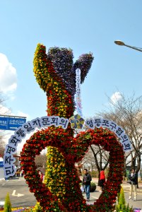 Yeouido Flower Festival