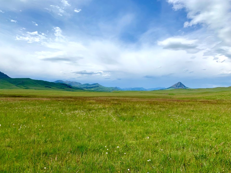 Rolling Hills3