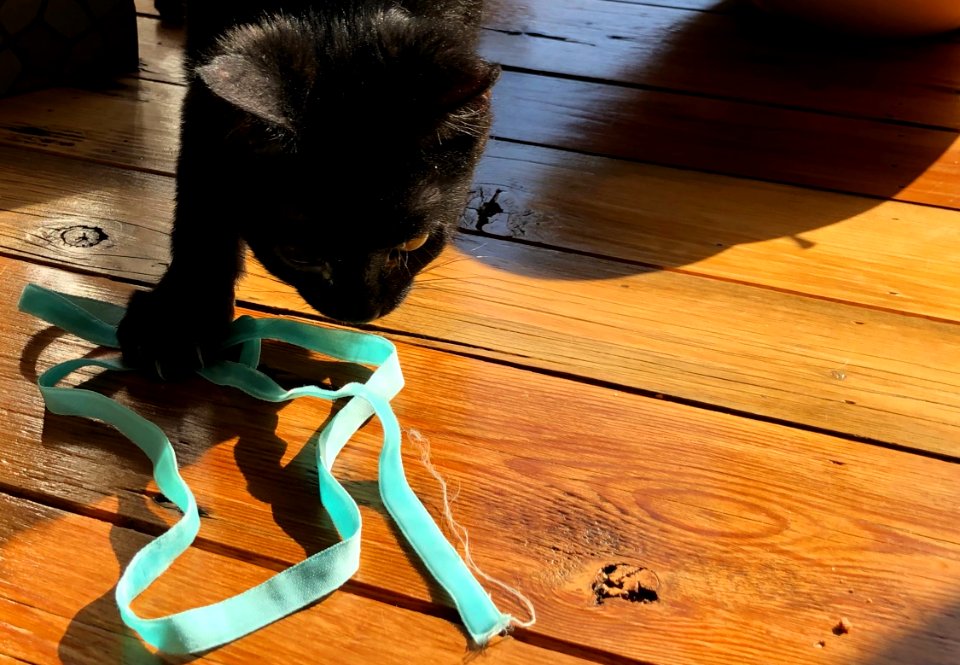 Mags Explores the Region of "Table"