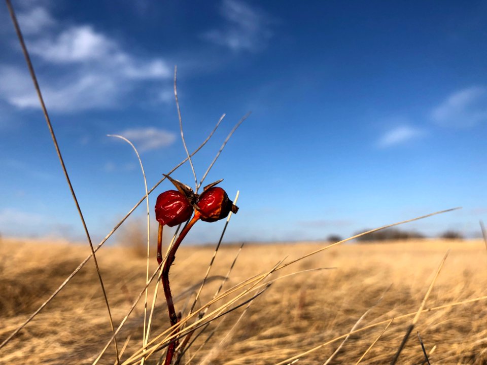 Out in a Field, Together
