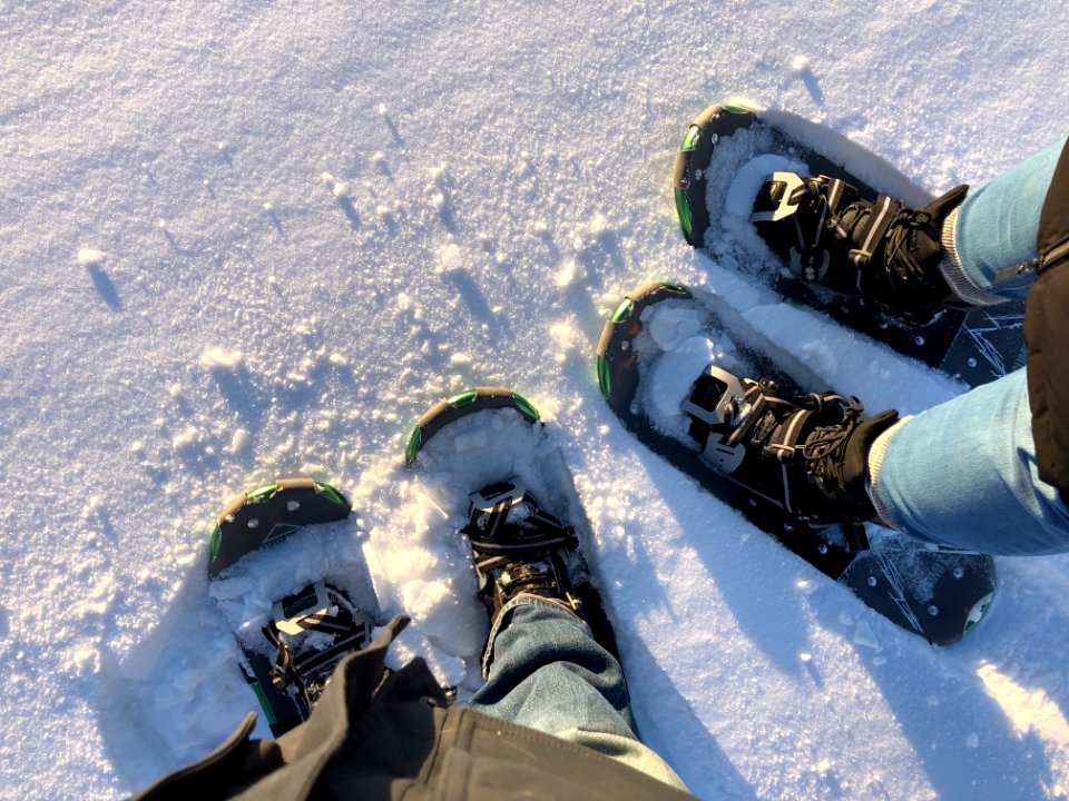 Snowshoeing Around