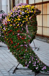 Asan Botanical Garden