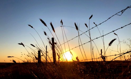 Sunny to the End of Day
