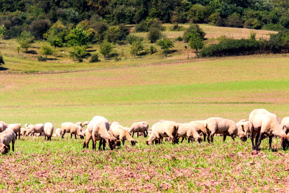Landleben in Nordhessen