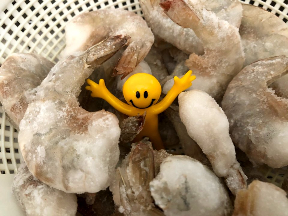 Little Yellow Man Loves The Thawing Shrimp