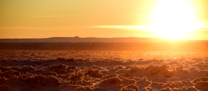 Sage steppe in winter at Seedskadee National Wildlife Refuge