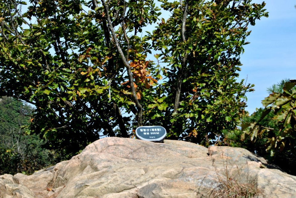 Palbongsan