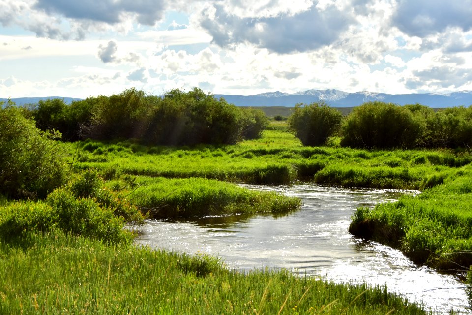 Illinois River at Arapaho National Wildlife Refuge