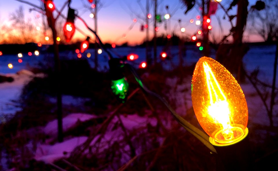 One Lights Them All