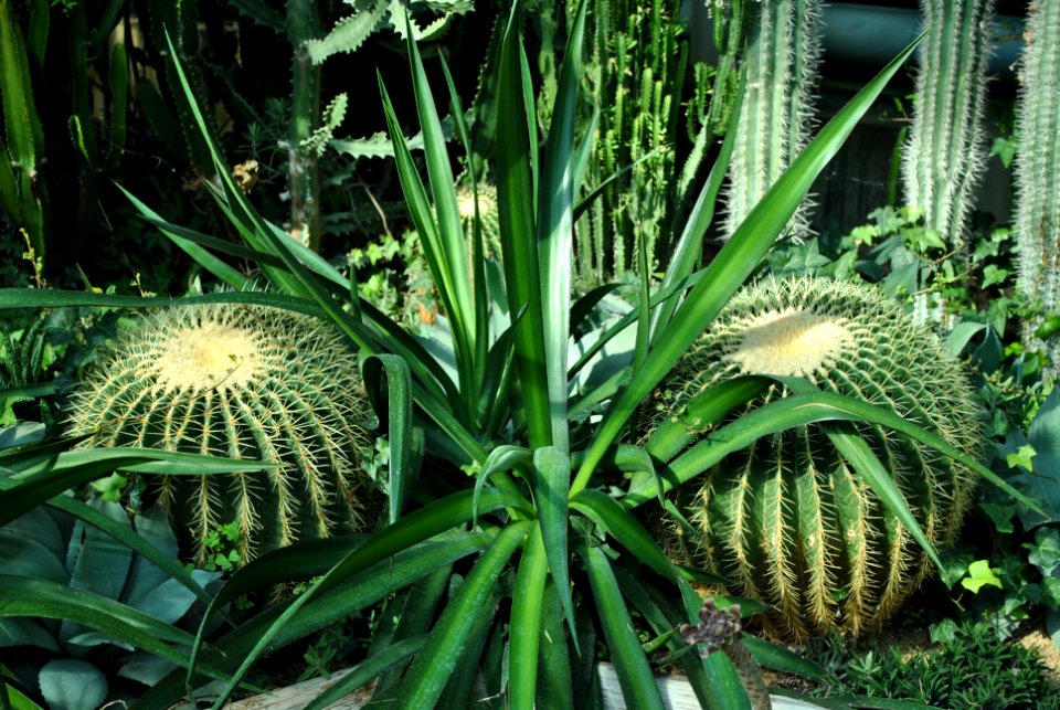 Asan Botanical Garden