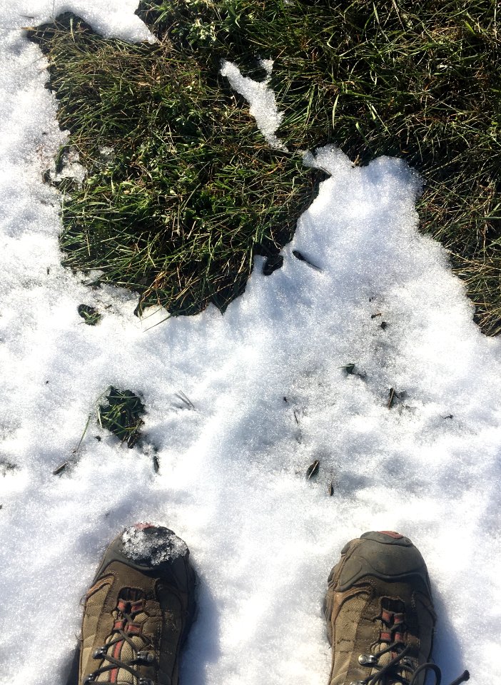 The Seasons