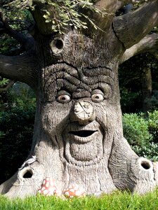 Tree face character photo