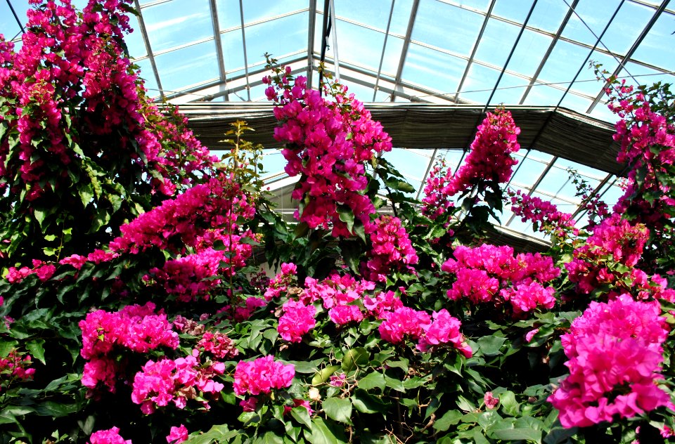 Asan Botanical Garden
