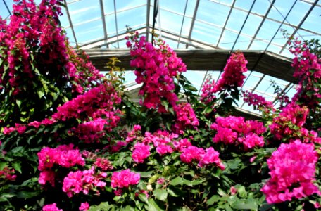 Asan Botanical Garden