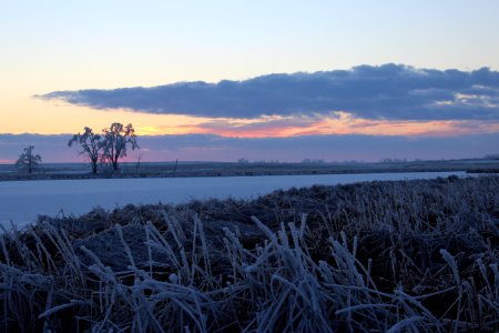 Frosty Evening Wetland photo