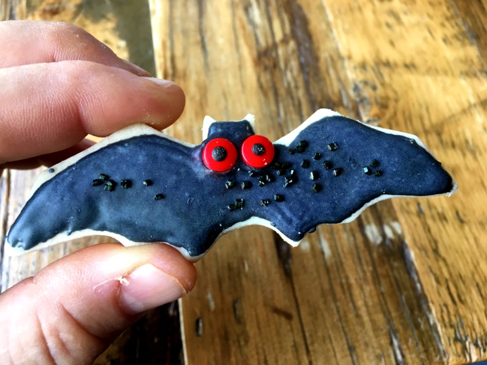 I GOT A BAT COOKIE! photo