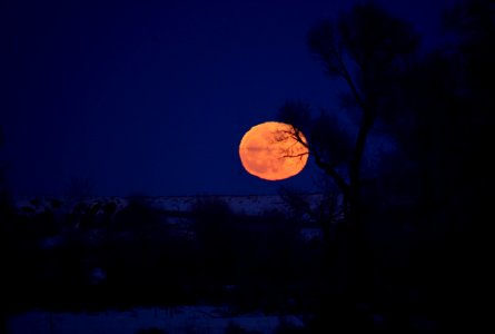 Moon rise at Seedskadee National Wildlife Refuge