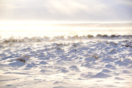 Sage steppe at Seedskadee National Wildlife Refuge