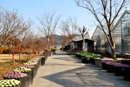 Asan Botanical Garden