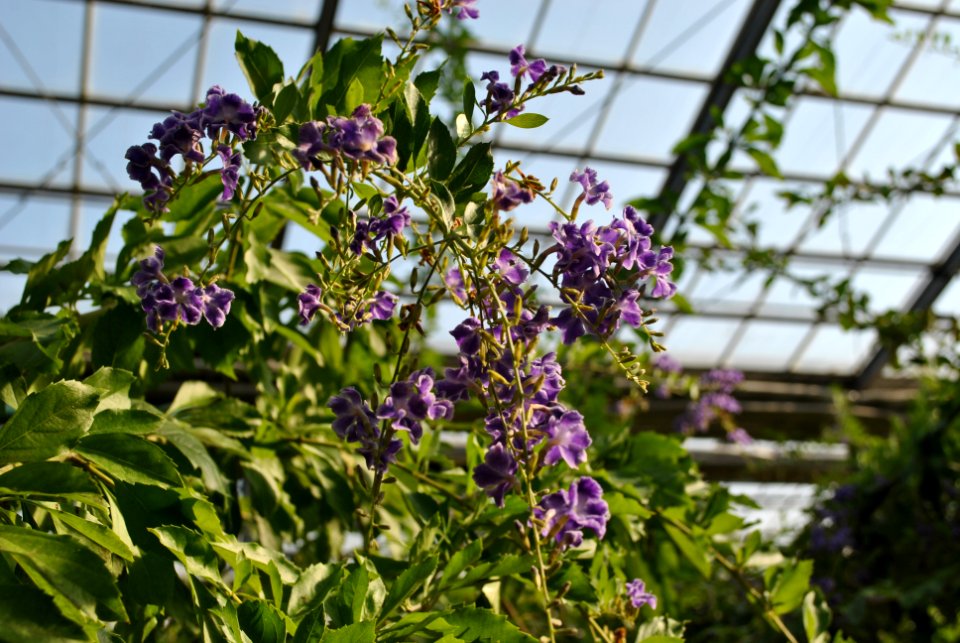 Asan Botanical Garden