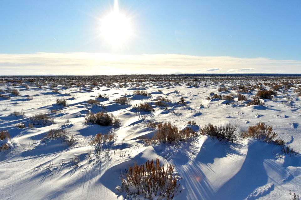 Seedskadee National Wildlife Refuge