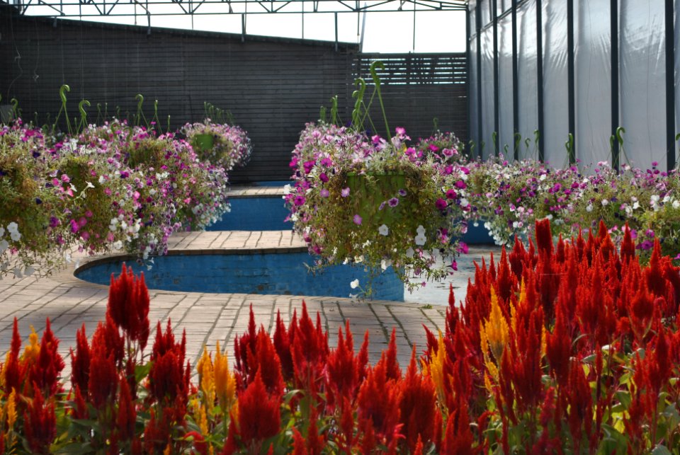 Asan Botanical Garden