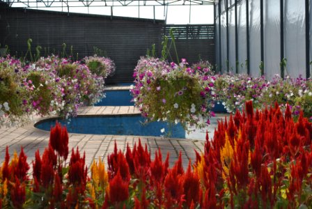 Asan Botanical Garden