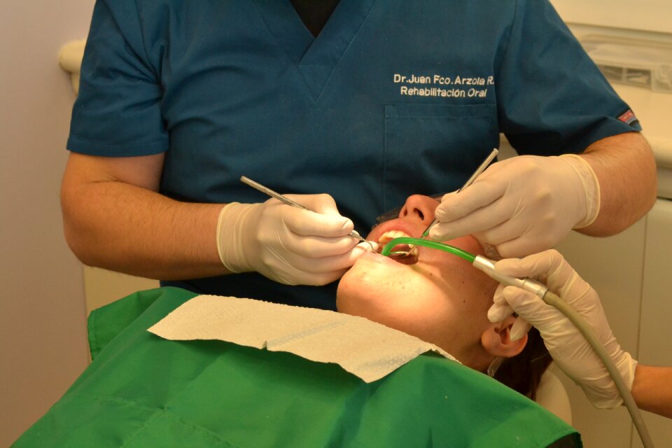 Dentist dentistry orthodontics
