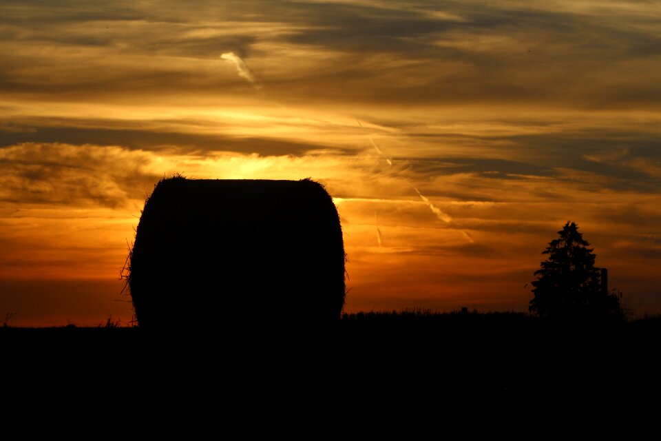 Pasture sunset colorful