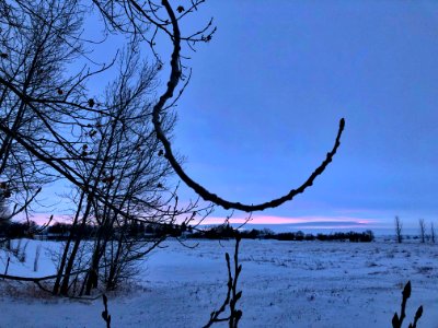 Sky Hook