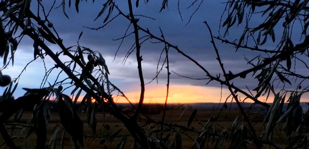 The Day Ends Like It Began