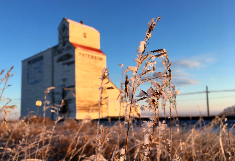 Grass Eye View of the Mortlach Grain Elevator