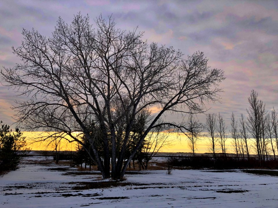 This Evening Colors