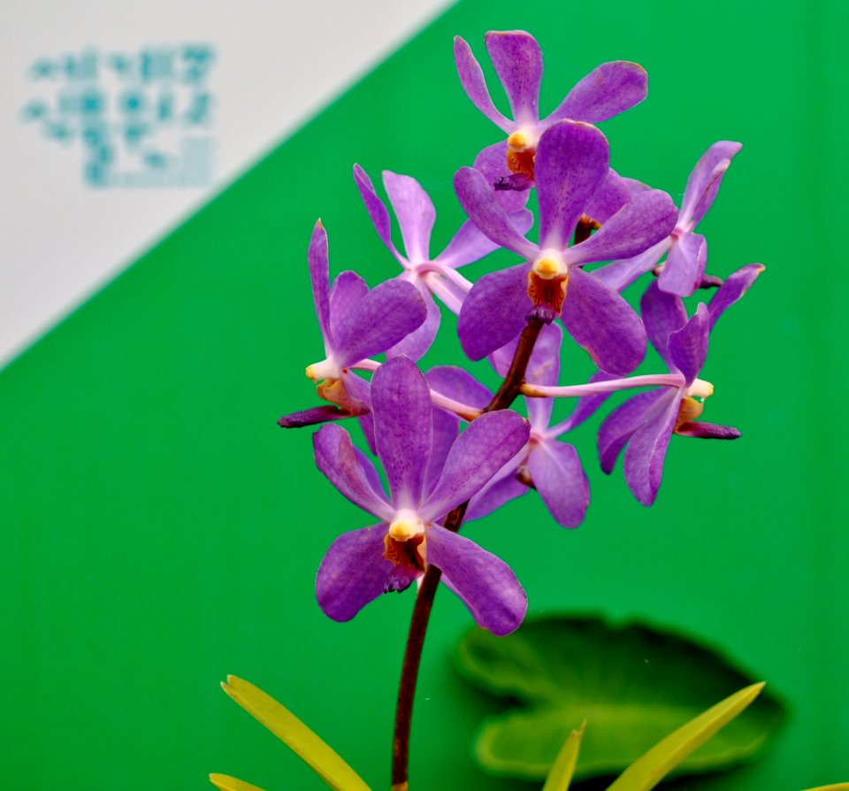 Asan Botanical Garden