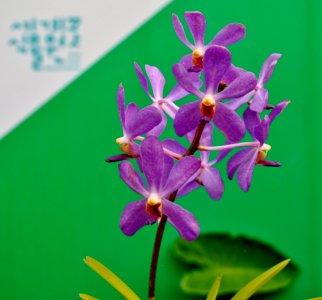 Asan Botanical Garden
