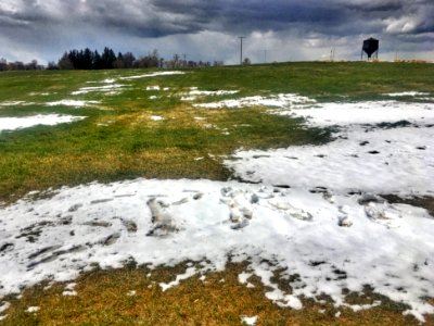 Spelling Spring...