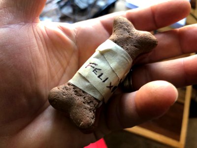 Special Delivery for Felix