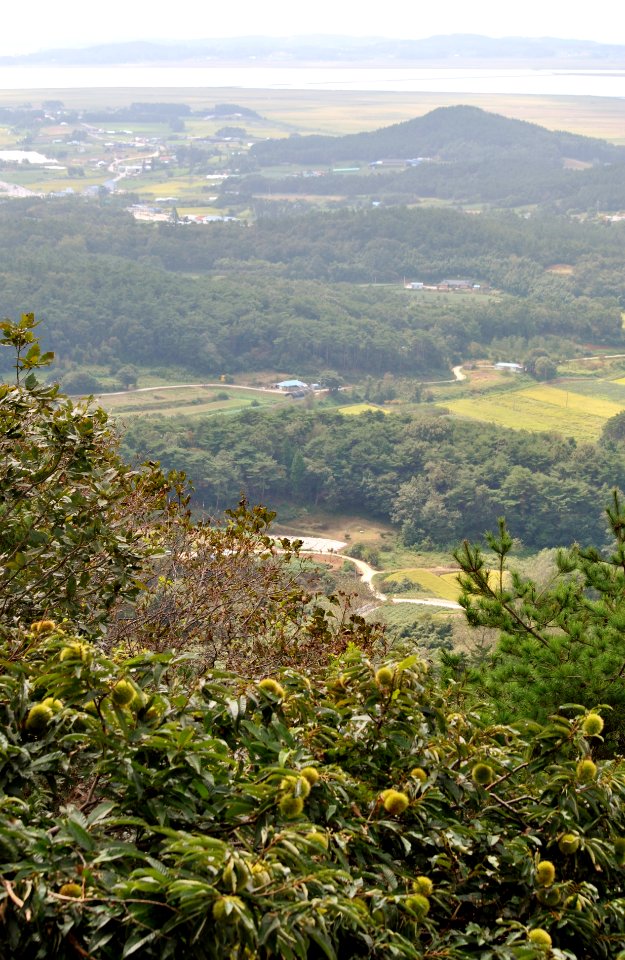 Dobee Mountain