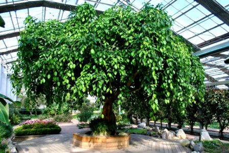 Asan Botanical Garden