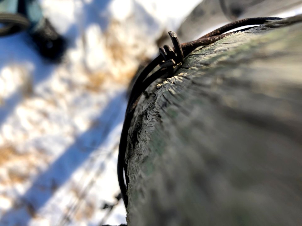 Down Post View