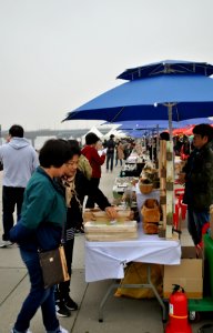 Yeouido Park Spring 2016