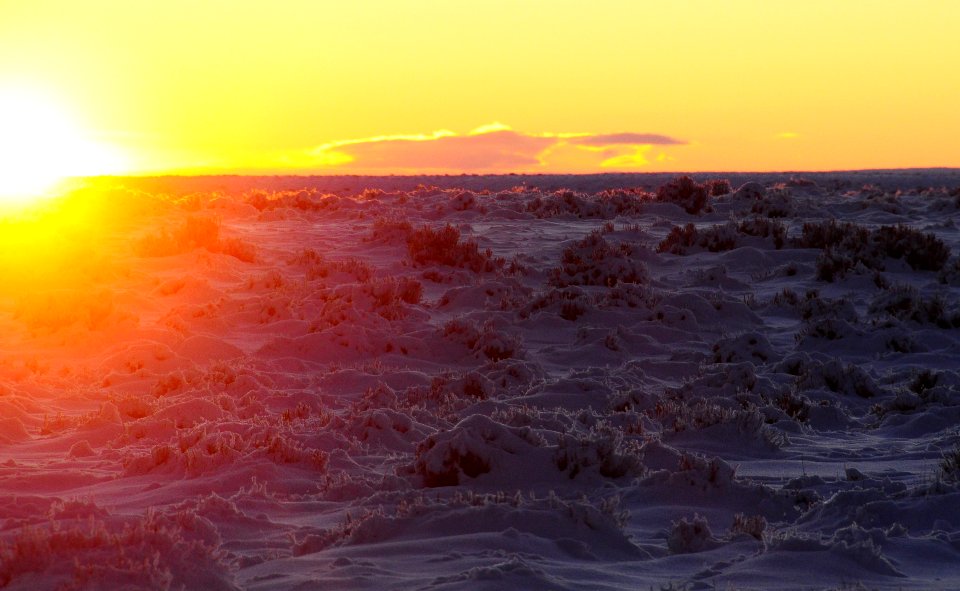 Winter sunset over the sage steppe at Seedskadee National Wildlife Refuge