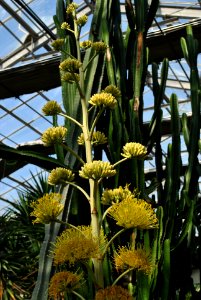 Asan Botanical Garden