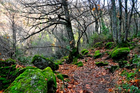 Valle del Jerte
